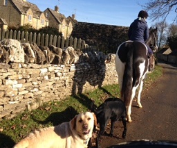 Cotswolds tour